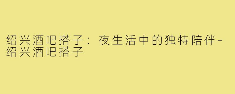 绍兴酒吧搭子:夜生活中的独特陪伴-绍兴酒吧搭子