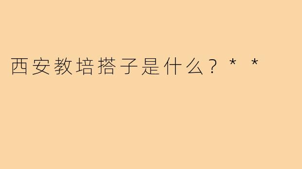 西安教培搭子是什么？**