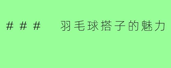 ### 羽毛球搭子的魅力