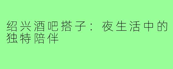 绍兴酒吧搭子:夜生活中的独特陪伴