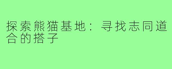 探索熊猫基地:寻找志同道合的搭子