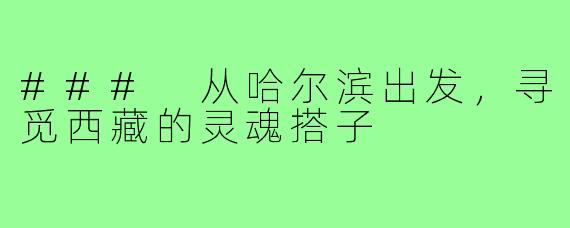 ### 从哈尔滨出发,寻觅西藏的灵魂搭子