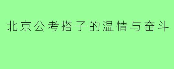 北京公考搭子的温情与奋斗