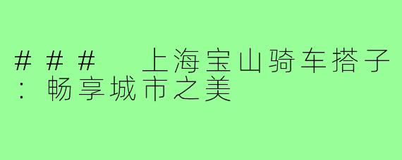 ### 上海宝山骑车搭子:畅享城市之美