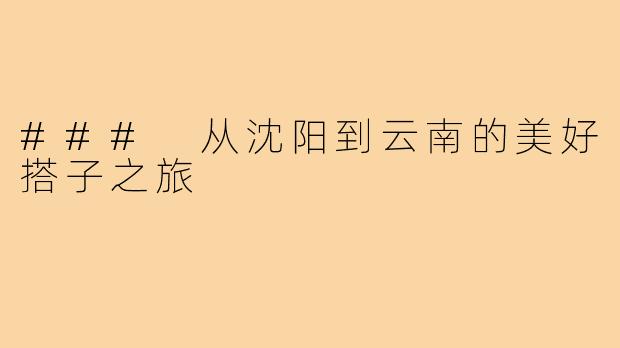 ### 从沈阳到云南的美好搭子之旅