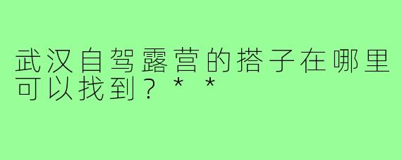 武汉自驾露营的搭子在哪里可以找到？**