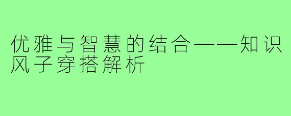 优雅与智慧的结合——知识风子穿搭解析