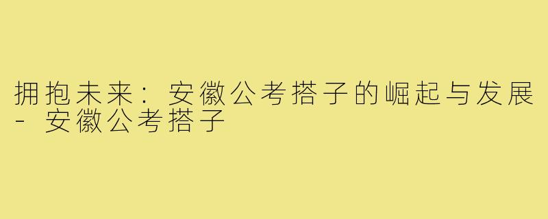 拥抱未来：安徽公考搭子的崛起与发展-安徽公考搭子
