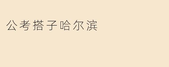 公考搭子哈尔滨
