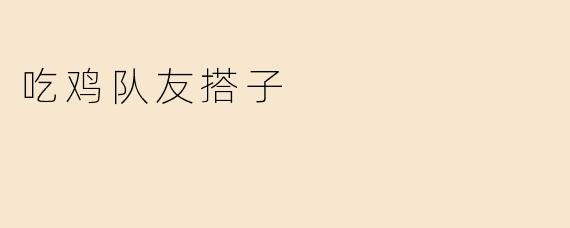 吃鸡队友搭子
