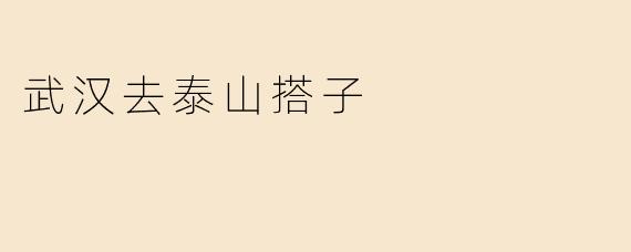武汉去泰山搭子
