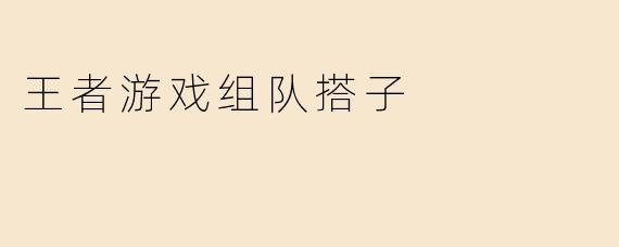 王者游戏组队搭子