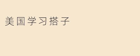 美国学习搭子