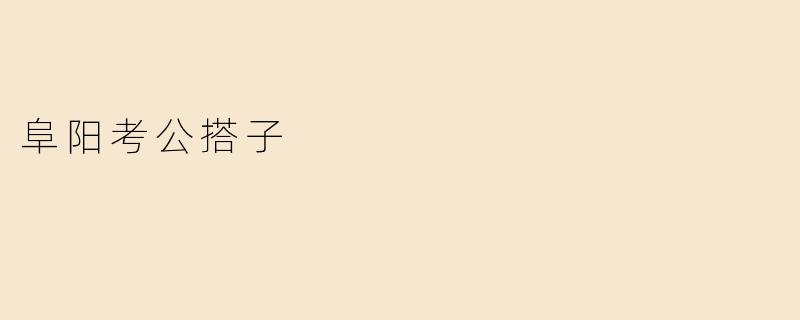 阜阳考公搭子
