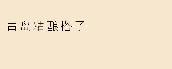 青岛精酿搭子