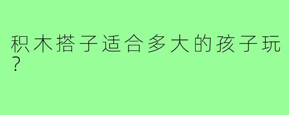 积木搭子适合多大的孩子玩？