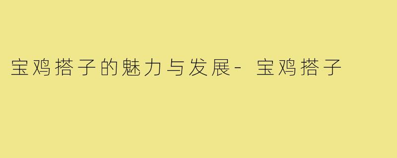 宝鸡搭子的魅力与发展-宝鸡搭子