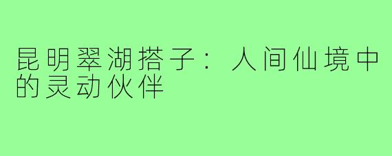 昆明翠湖搭子：人间仙境中的灵动伙伴