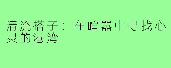 清流搭子:在喧嚣中寻找心灵的港湾