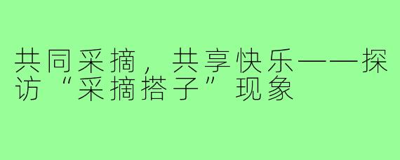 共同采摘,共享快乐——探访“采摘搭子”现象