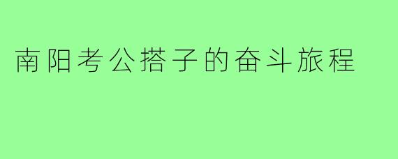南阳考公搭子的奋斗旅程