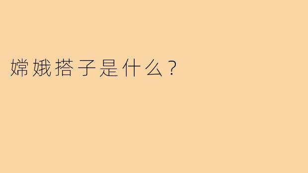 嫦娥搭子是什么？