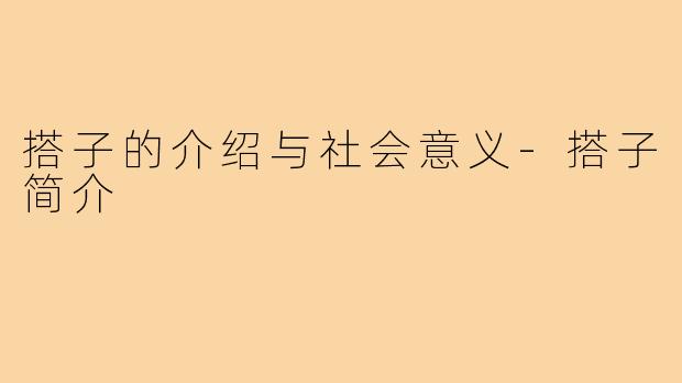 搭子的介绍与社会意义-搭子简介
