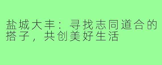 盐城大丰:寻找志同道合的搭子,共创美好生活