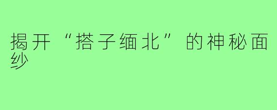 揭开“搭子缅北”的神秘面纱