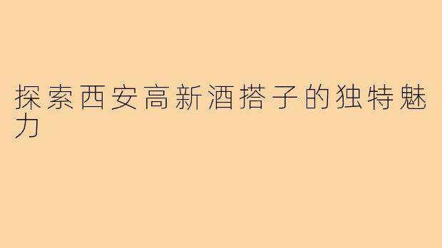 探索西安高新酒搭子的独特魅力