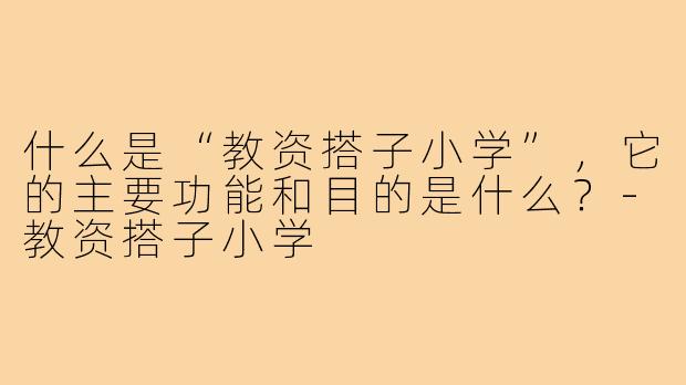 什么是“教资搭子小学”，它的主要功能和目的是什么？