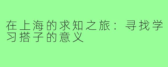 在上海的求知之旅：寻找学习搭子的意义