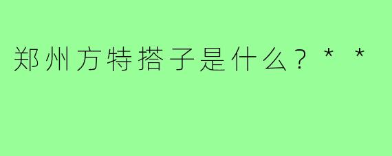 郑州方特搭子是什么？**