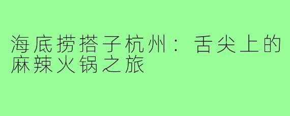 海底捞搭子杭州：舌尖上的麻辣火锅之旅