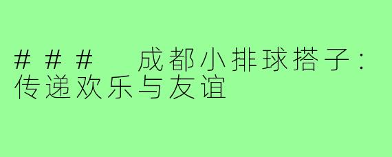 ### 成都小排球搭子:传递欢乐与友谊