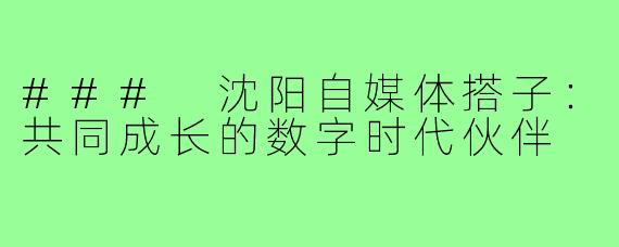 ### 沈阳自媒体搭子：共同成长的数字时代伙伴