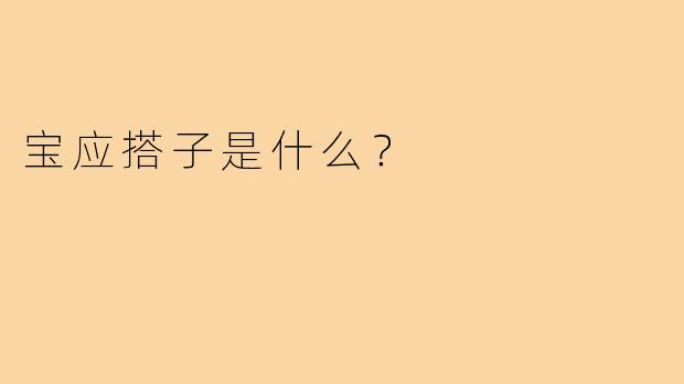宝应搭子是什么？