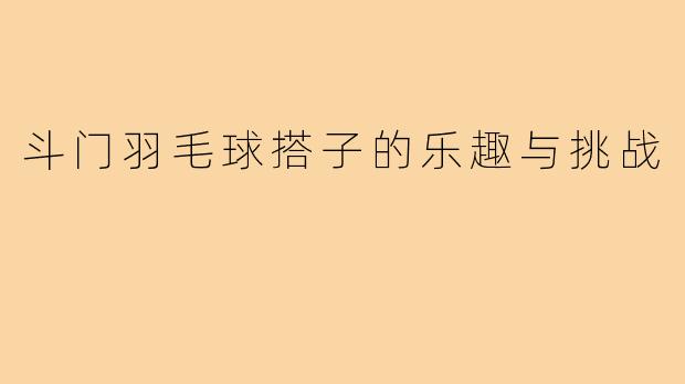 斗门羽毛球搭子的乐趣与挑战