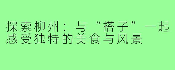 探索柳州:与“搭子”一起感受独特的美食与风景