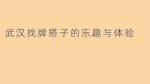 武汉找牌搭子的乐趣与体验