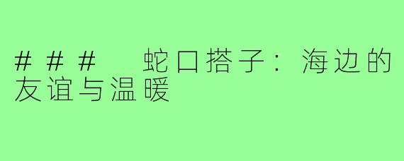 ### 蛇口搭子：海边的友谊与温暖