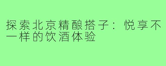 探索北京精酿搭子:悦享不一样的饮酒体验