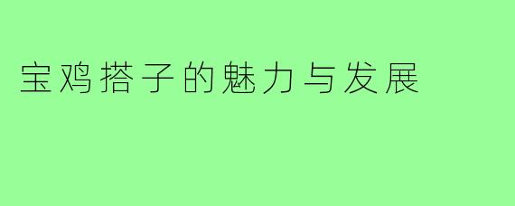 宝鸡搭子的魅力与发展