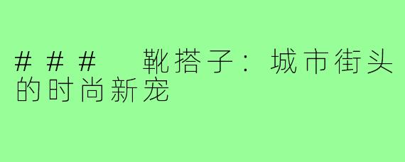 ### 靴搭子：城市街头的时尚新宠