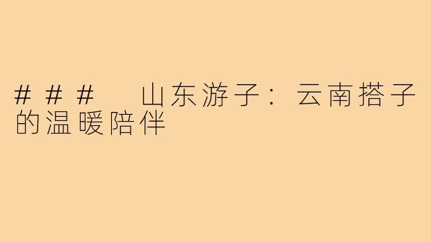 ### 山东游子：云南搭子的温暖陪伴