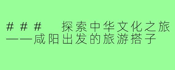 ### 探索中华文化之旅——咸阳出发的旅游搭子