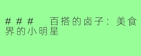### 百搭的卤子：美食界的小明星