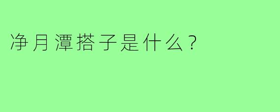净月潭搭子是什么？