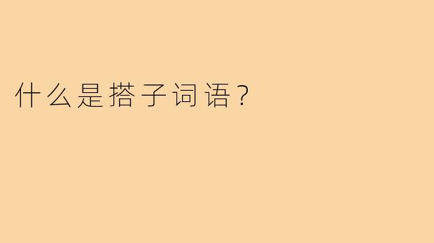什么是搭子词语？  
