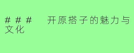 ### 开原搭子的魅力与文化